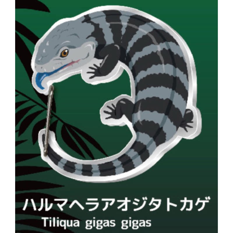 Gecko Lover Carabiner Gashapon - Capsule Toy Gashapon recension och pris