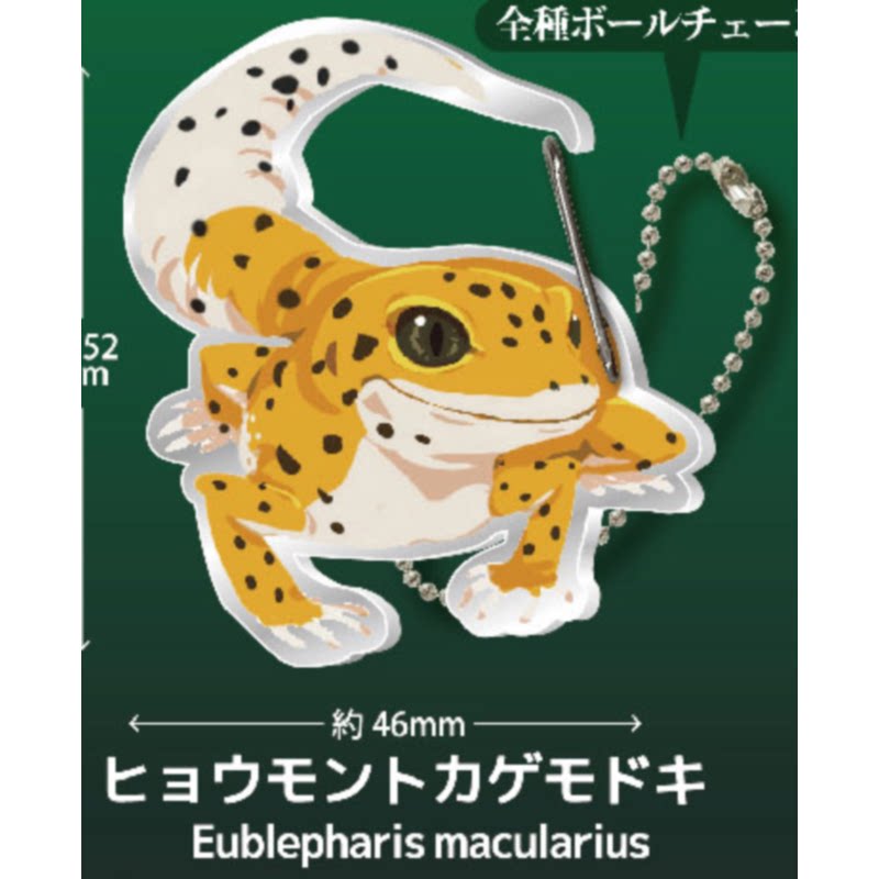 Gecko Lover Carabiner Gashapon - Capsule Toy Gashapon recension och pris